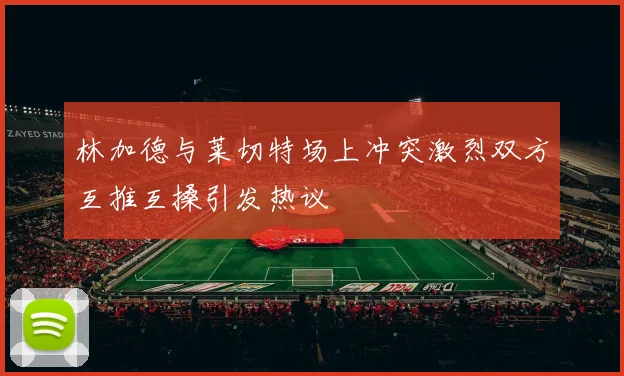 林加德与莱切特场上冲突激烈双方互推互搡引发热议