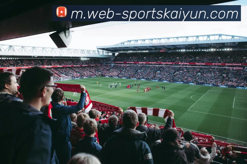 App Interface Preview