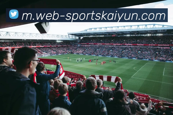 开云体育APP 封面图